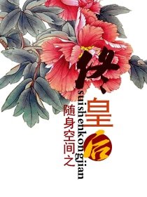 隨身空間之佟皇后