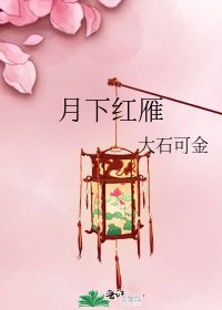 月下红雁